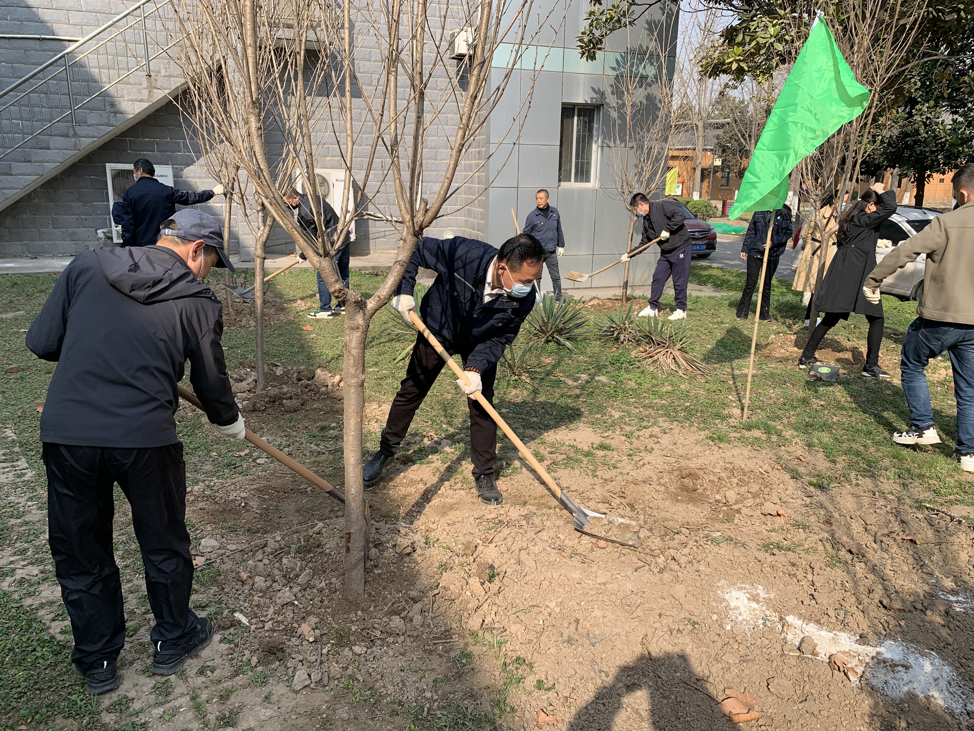 播撒新绿  溢满春天