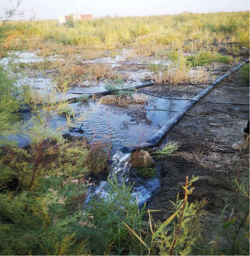 克拉玛依市住建局领导视察克拉玛依公司中水回用实施情况