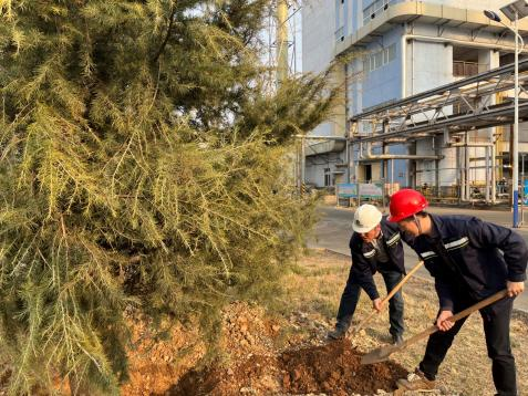 党建引领促发展 厂区植树添新绿